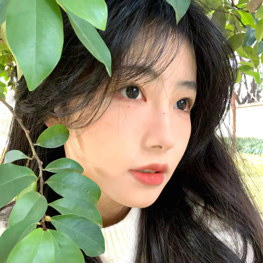 淑女痴恋